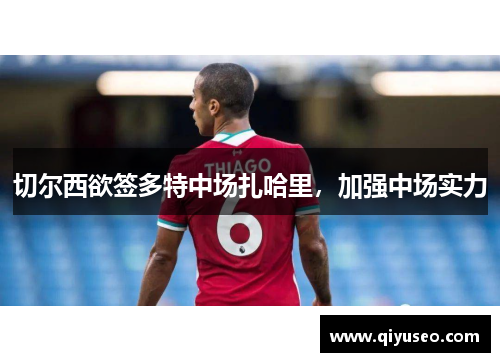 切尔西欲签多特中场扎哈里，加强中场实力