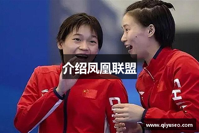 介绍凤凰联盟